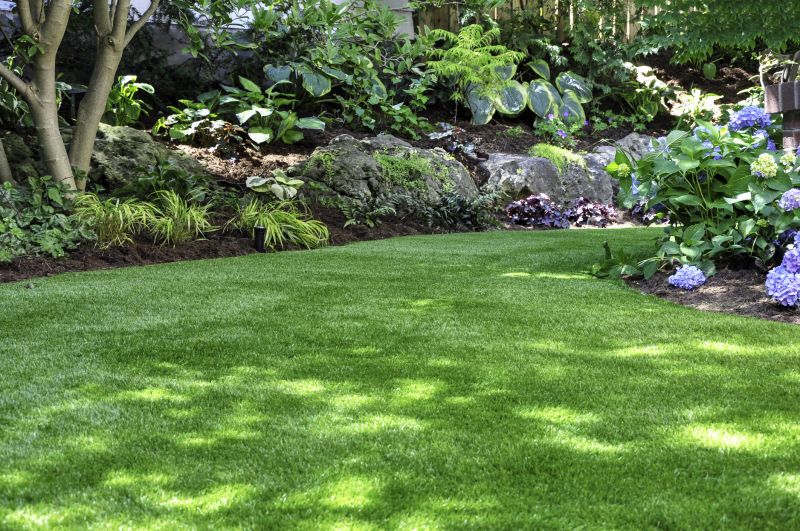 Lawn and Turf Installations