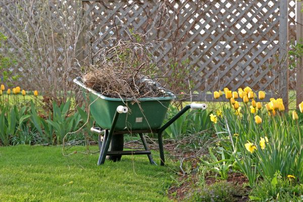 Flower Bed Cleanup Service in Annapolis
