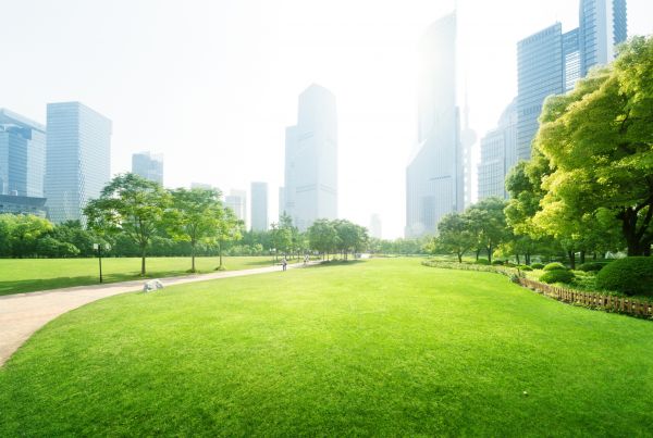 Commercial Landscape Maintenance in Annapolis