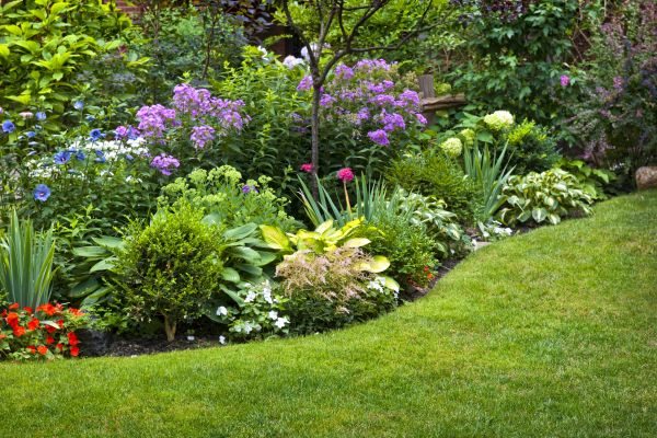 Flower Bed Service in Annapolis