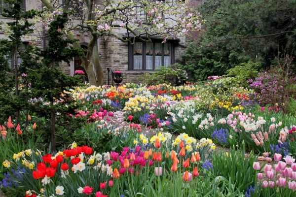 Garden Maintenance Service in Annapolis
