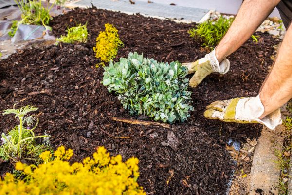 Weeding And Mulching in Annapolis