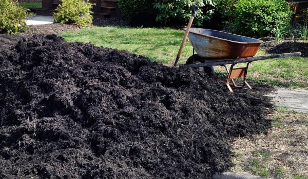 Black Mulch Delivery in Annapolis
