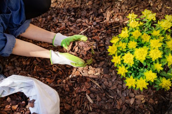 Garden Mulching in Annapolis