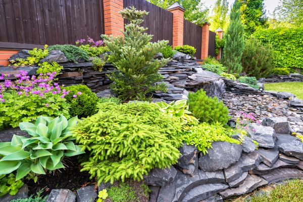 Landscape Remodeling in Annapolis
