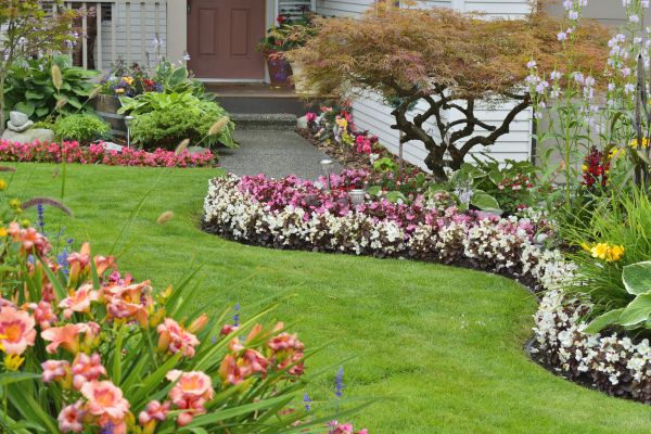 Perennial Landscaping in Annapolis