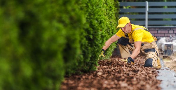 Cypress Mulch Installation in Annapolis