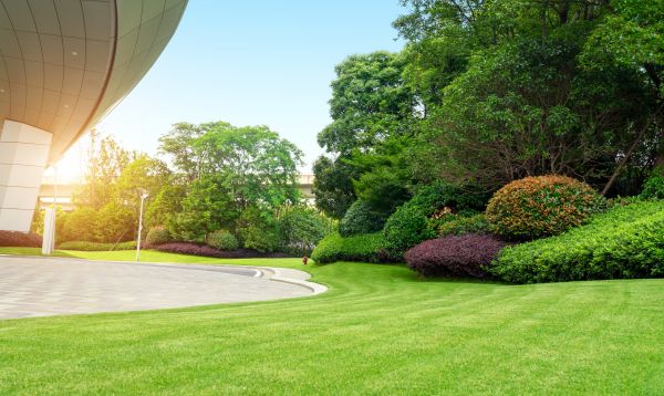 Business Landscape Design in Annapolis