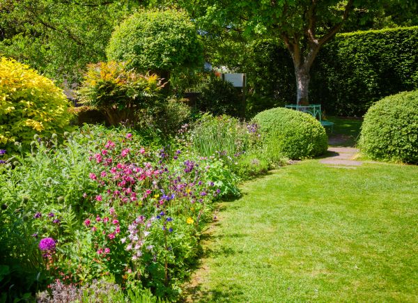 Yard Landscaping Service in Annapolis