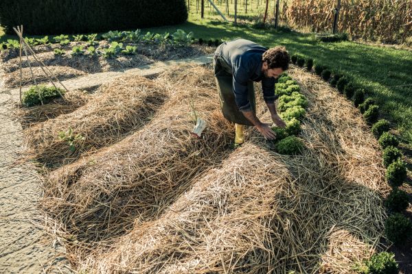 Straw Mulching Service in Annapolis