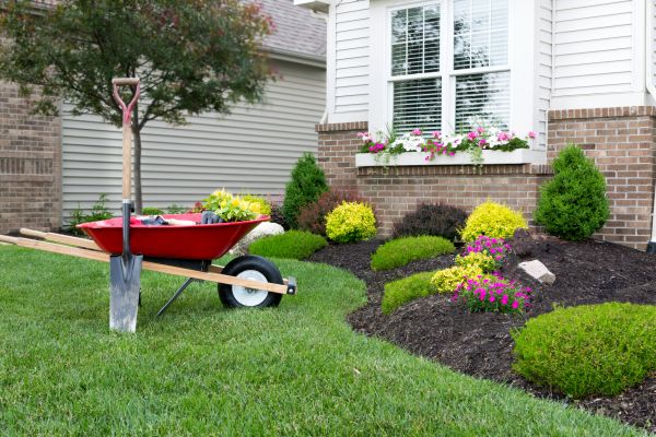 Tree And Shrub Planting in Annapolis