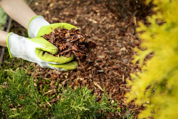 Garden Mulch Delivery in Annapolis