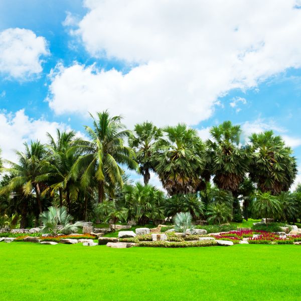 Tropical Landscaping in Annapolis