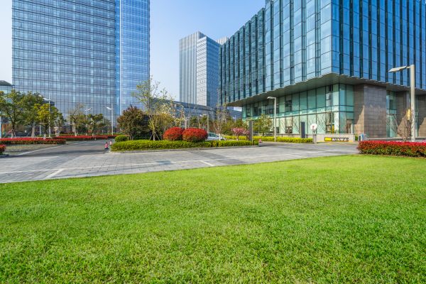 Industrial Landscaping Service in Annapolis