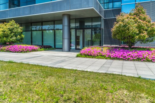 Commercial Gardening in Annapolis