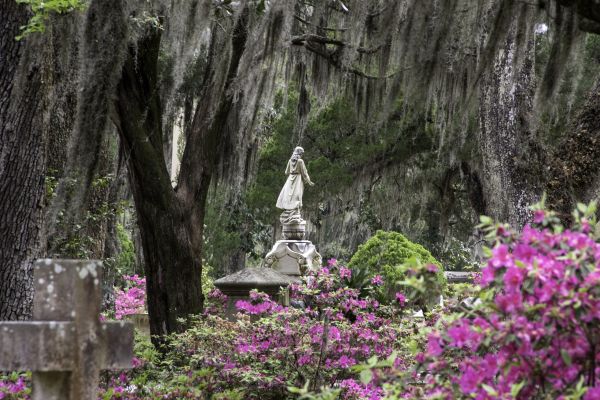Cemetery Landscaping in Annapolis