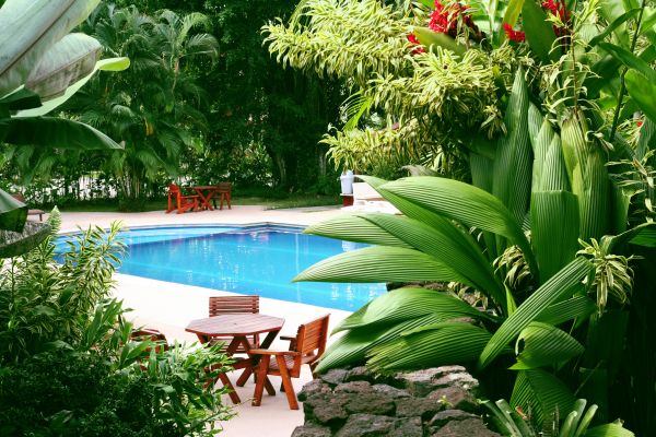 Tropical Garden Landscaping in Annapolis
