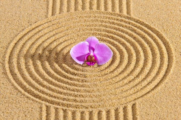 Sand Garden Landscaping in Annapolis