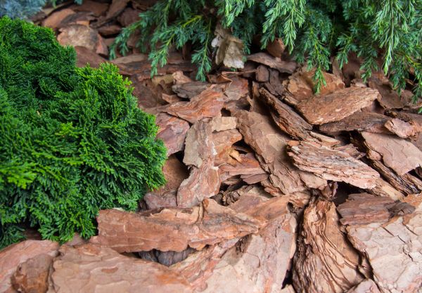 Pine Bark Installation in Annapolis