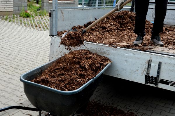 Cypress Mulch Delivery in Annapolis