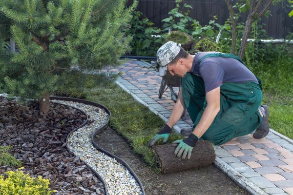 Landscaping Modification in Annapolis