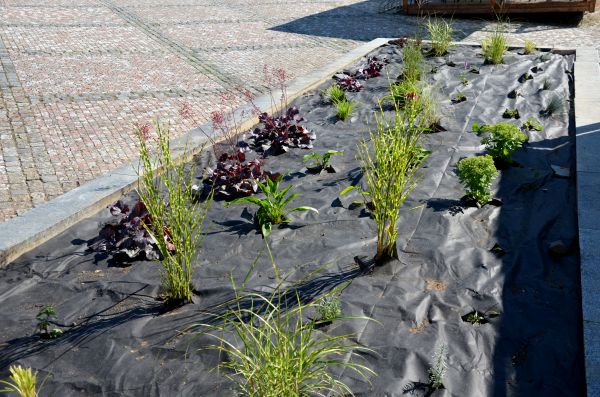 Landscape Fabric Installation in Annapolis
