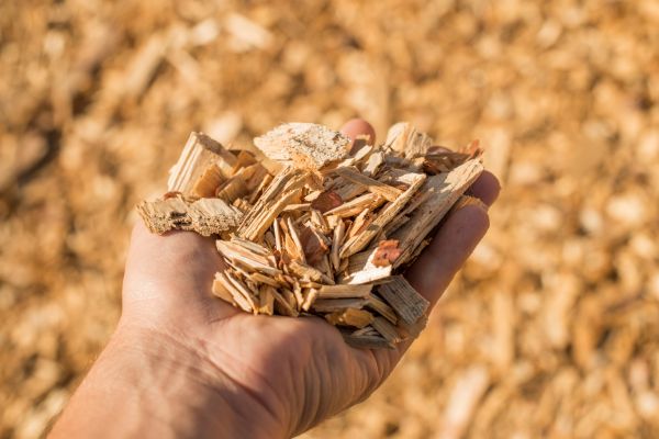 Wood Chips Spreading in Annapolis