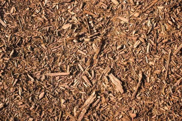 Wood Chips Removal in Annapolis