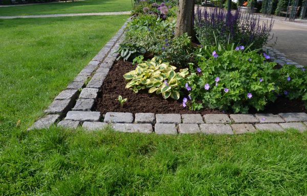 Flower Bed Mulching in Annapolis