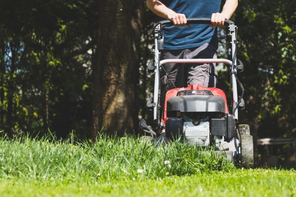 Garden Trimming Service in Annapolis