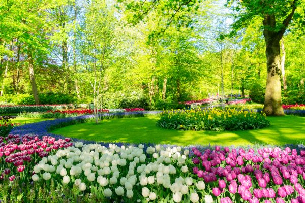 Flower Landscaping in Annapolis