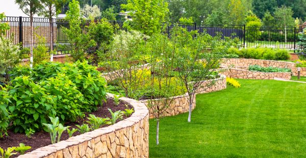 Yard Makeover Service in Annapolis