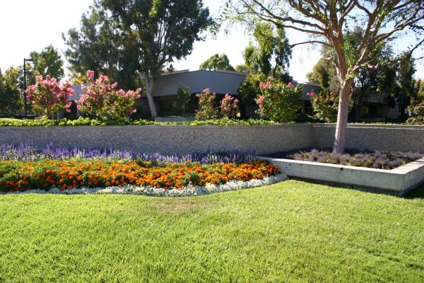 Commercial Landscape Service in Annapolis