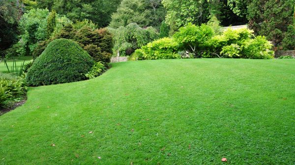 Commercial Landscape Design in Annapolis