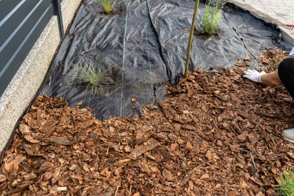 Pine Bark Spreading in Annapolis