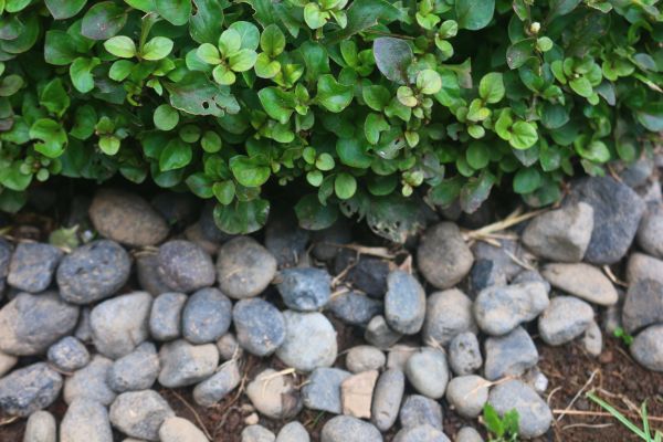River Stone Installation in Annapolis