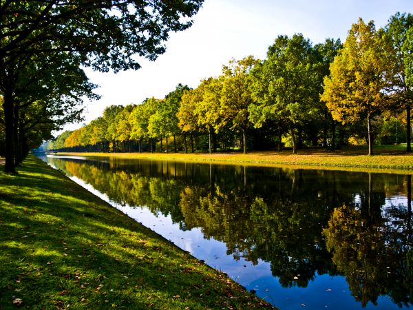 Bank Landscaping in Annapolis