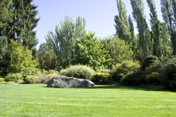 Yard Enlargement in Annapolis
