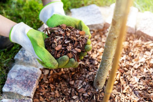 Tree Bark Delivery in Annapolis