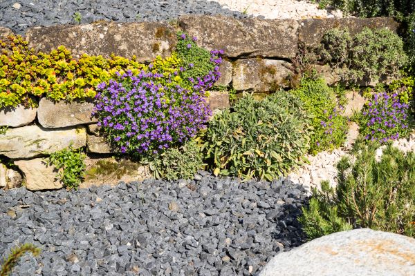 Landscaping Rocks Installation in Annapolis
