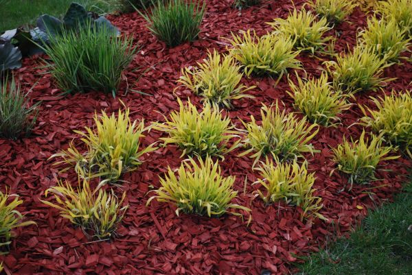 Red Mulch Installation in Annapolis