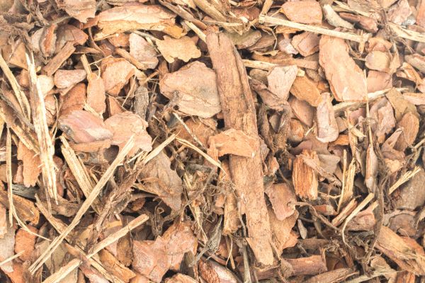 Bark Mulch Installation in Annapolis