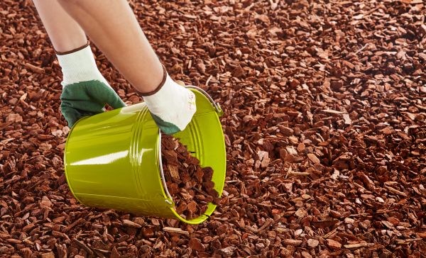 Wood Chip Landscaping in Annapolis