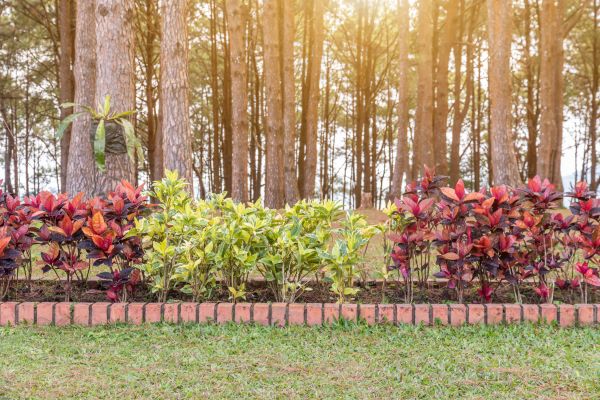 Small Garden Landscaping in Annapolis