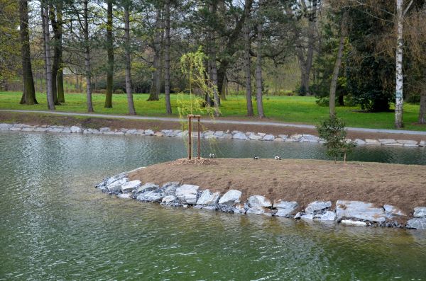 Pond Landscaping Service in Annapolis