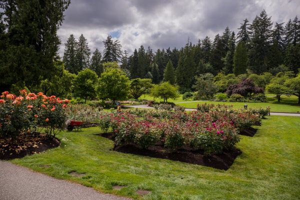 Flower Garden Landscaping in Annapolis