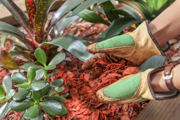 Residential Mulching in Annapolis