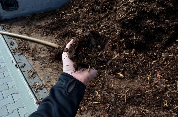 Condo Mulching in Annapolis