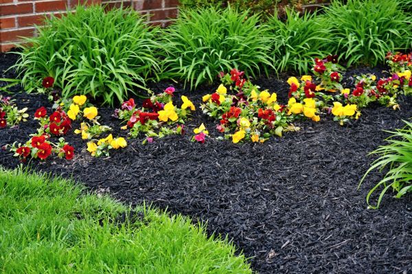 Apartment Mulching in Annapolis